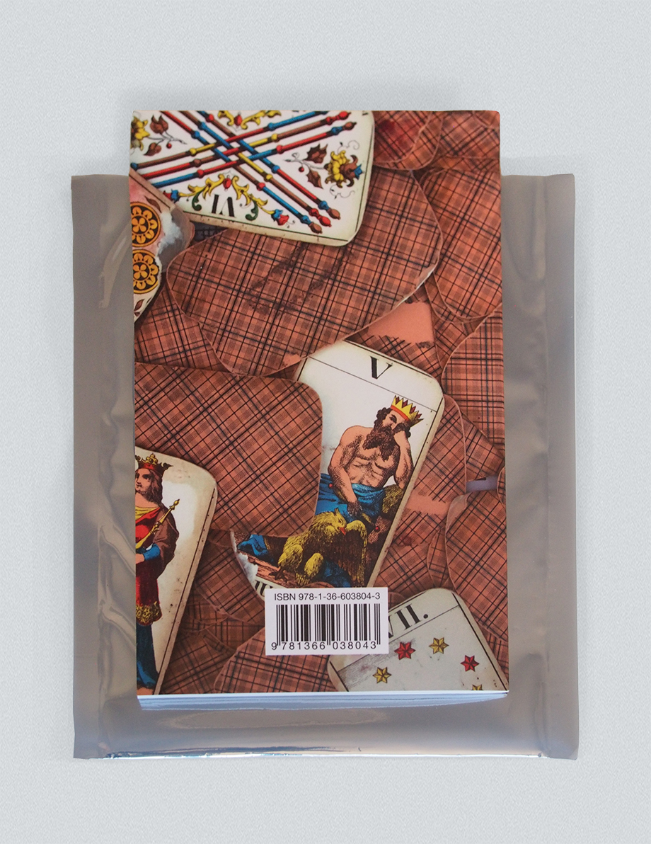 1-900 Mirror Mirror Back Cover