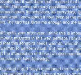 Back Cover Detail